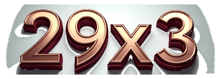 29x3 logo